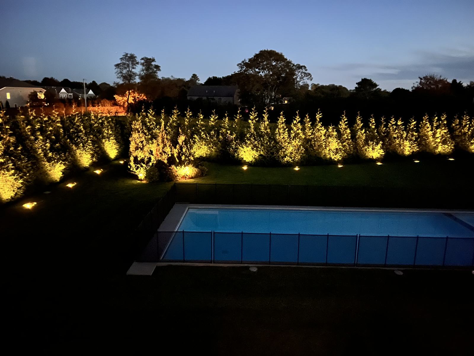 Pool and hedge line lit with landscape lighting at dusk